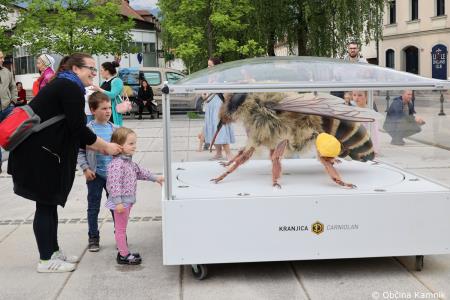 Čebela velikanka potuje po Kamniku (31)